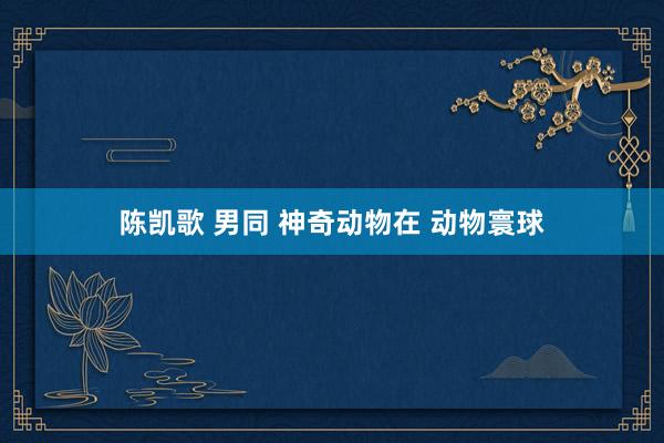 陈凯歌 男同 神奇动物在 动物寰球