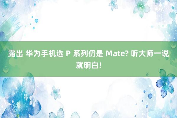 露出 华为手机选 P 系列仍是 Mate? 听大师一说就明白!