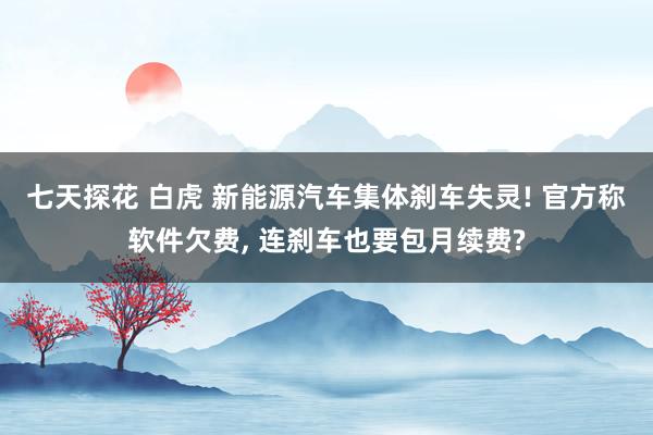 七天探花 白虎 新能源汽车集体刹车失灵! 官方称软件欠费， 连刹车也要包月续费?