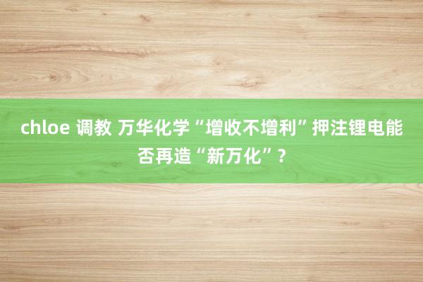 chloe 调教 万华化学“增收不增利”押注锂电能否再造“新万化”？